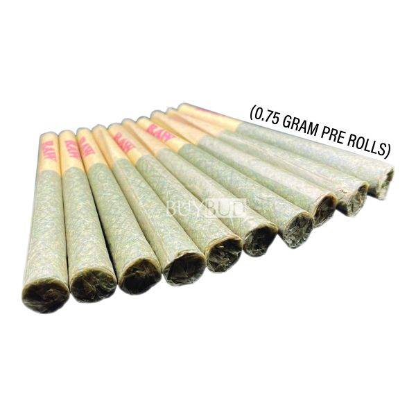 pre rolls 10 pack raw