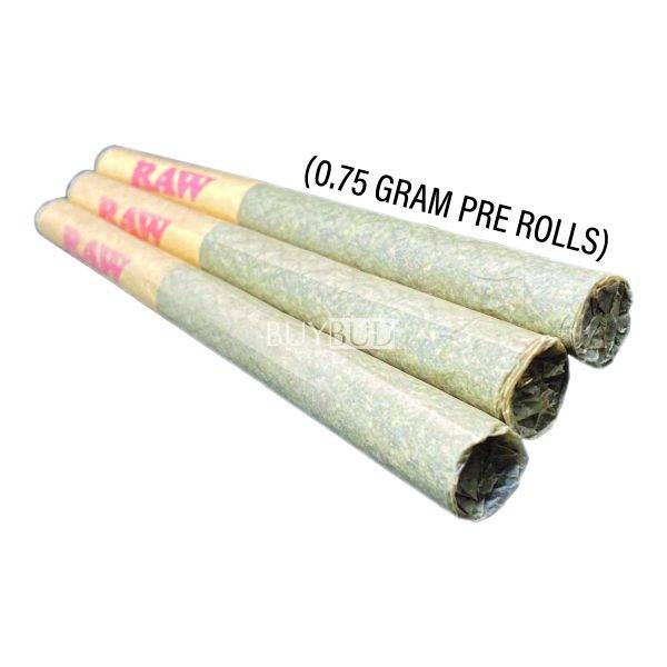 pre rolls 3 pack raw