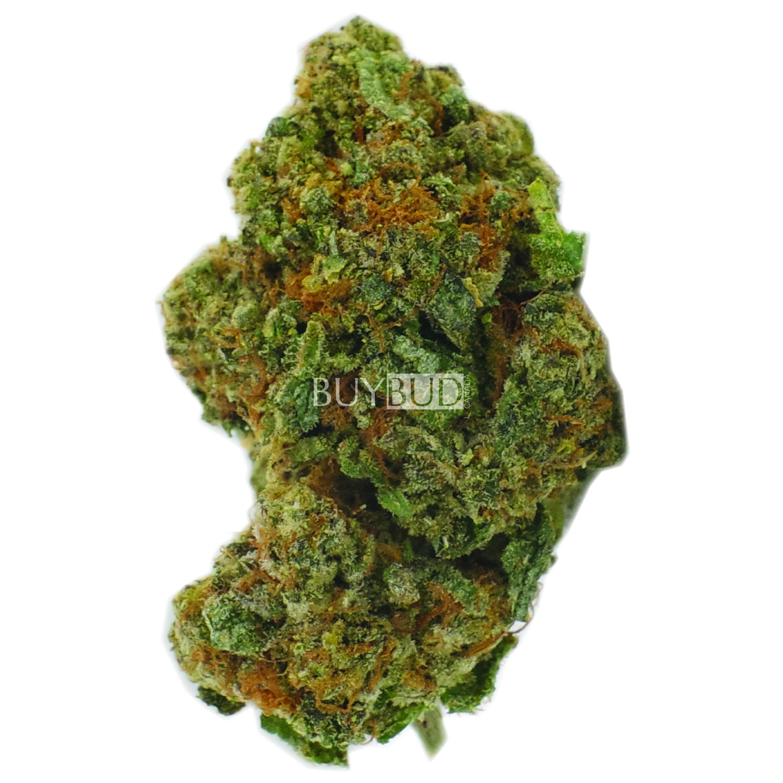 sour kush cannabis