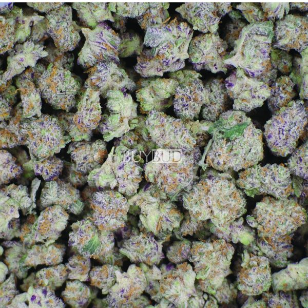 Pineapple Express Popcorn Cannabis