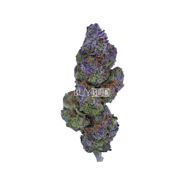 goudaberry cannabis