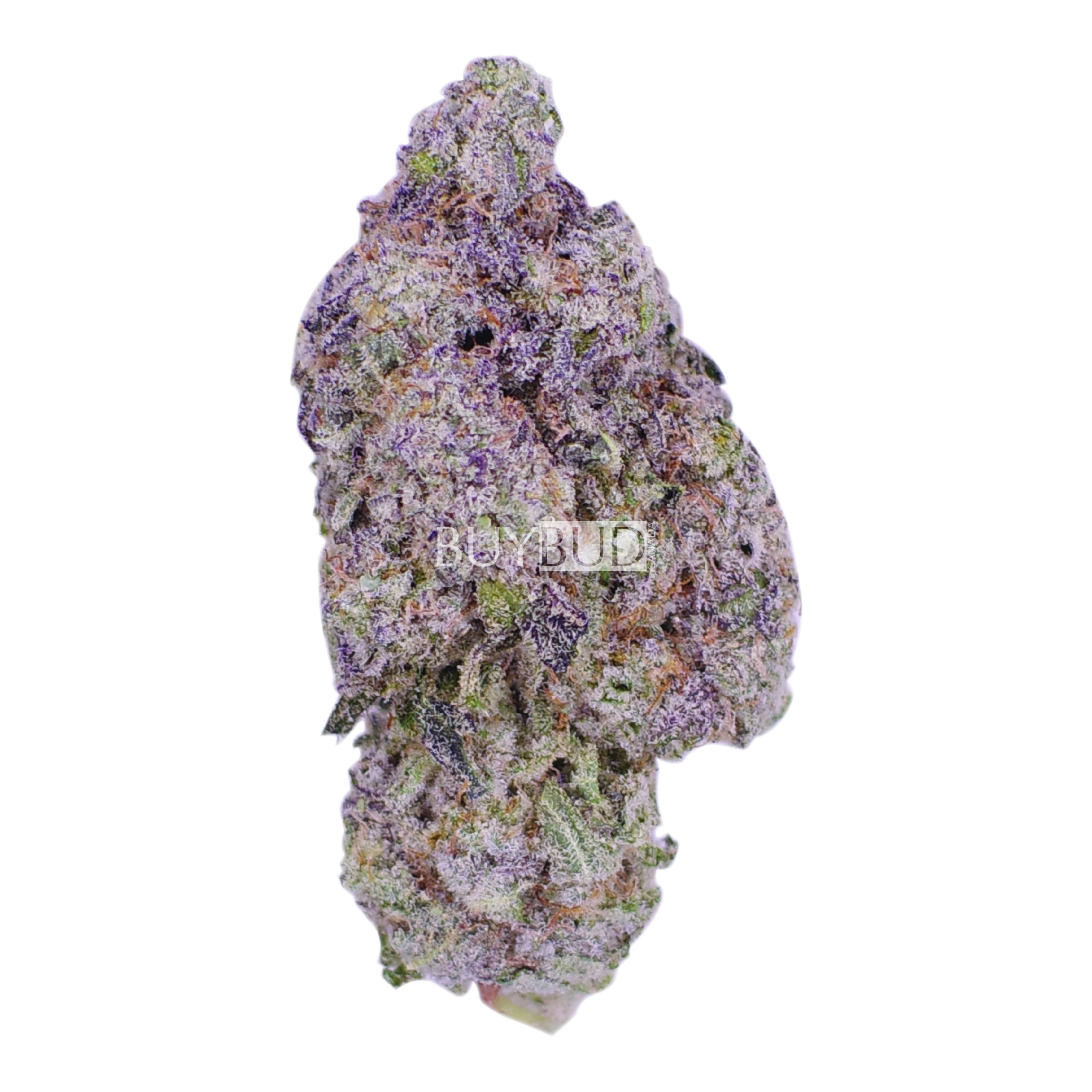 hippy crasher cannabis