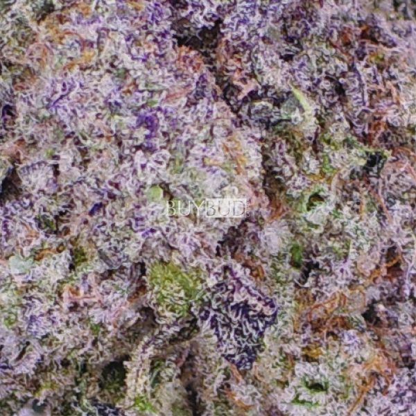 hippy crasher cannabis