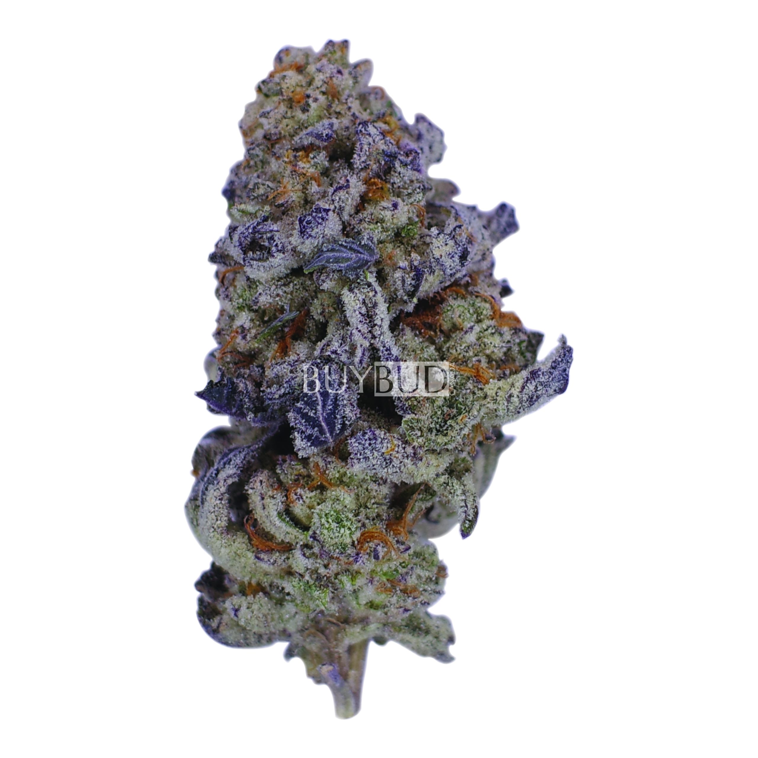 white wine cannabis