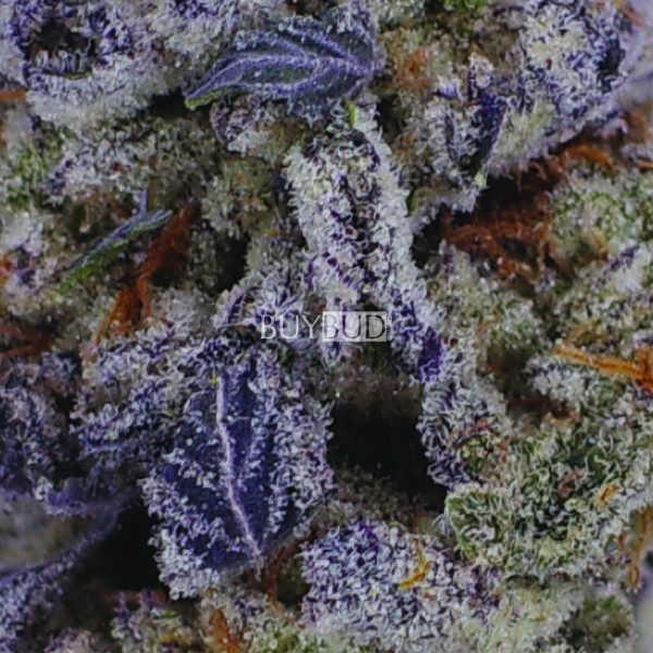 white wine cannabis