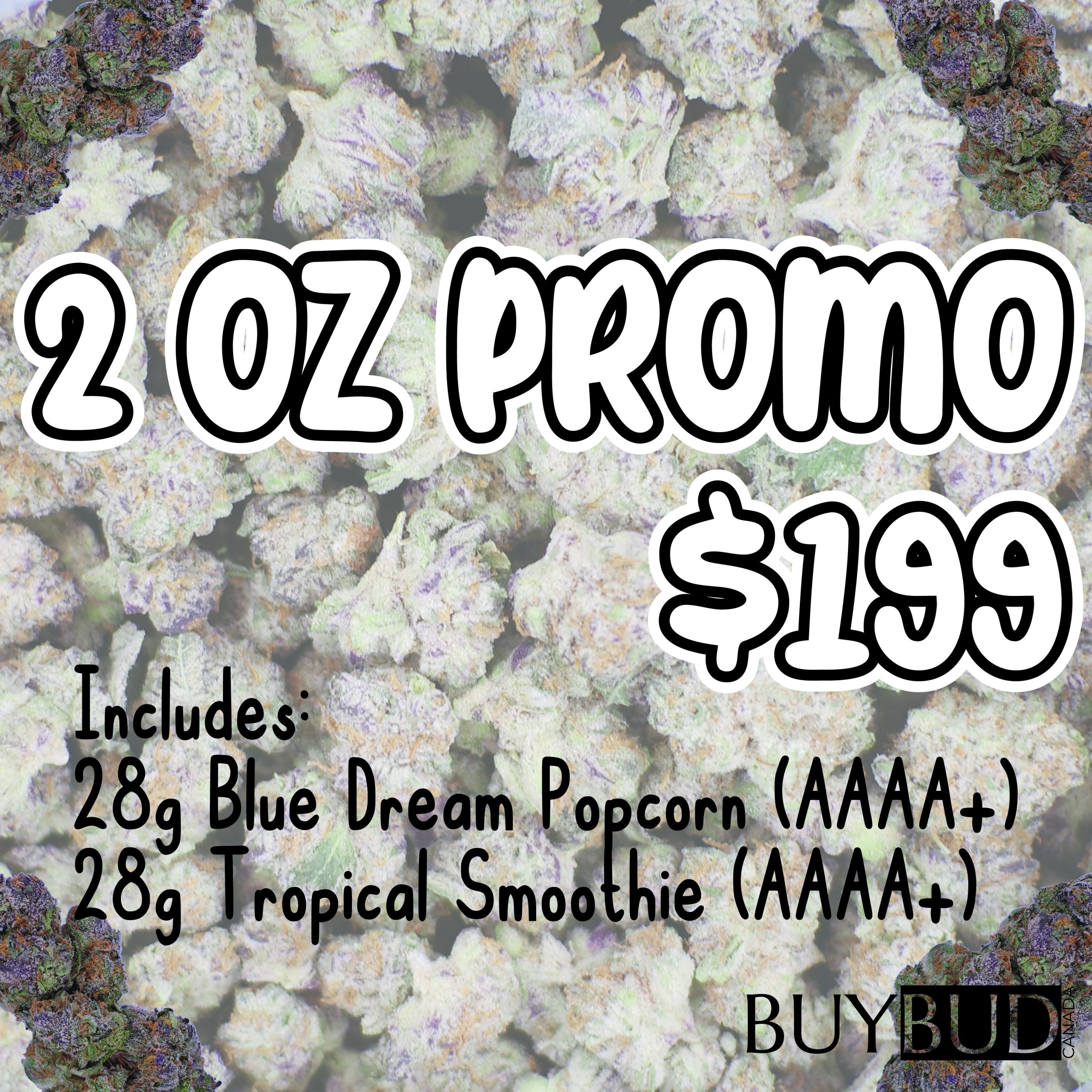 2 OZ PROMO