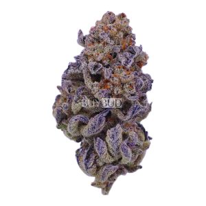 god's green crack cannabis