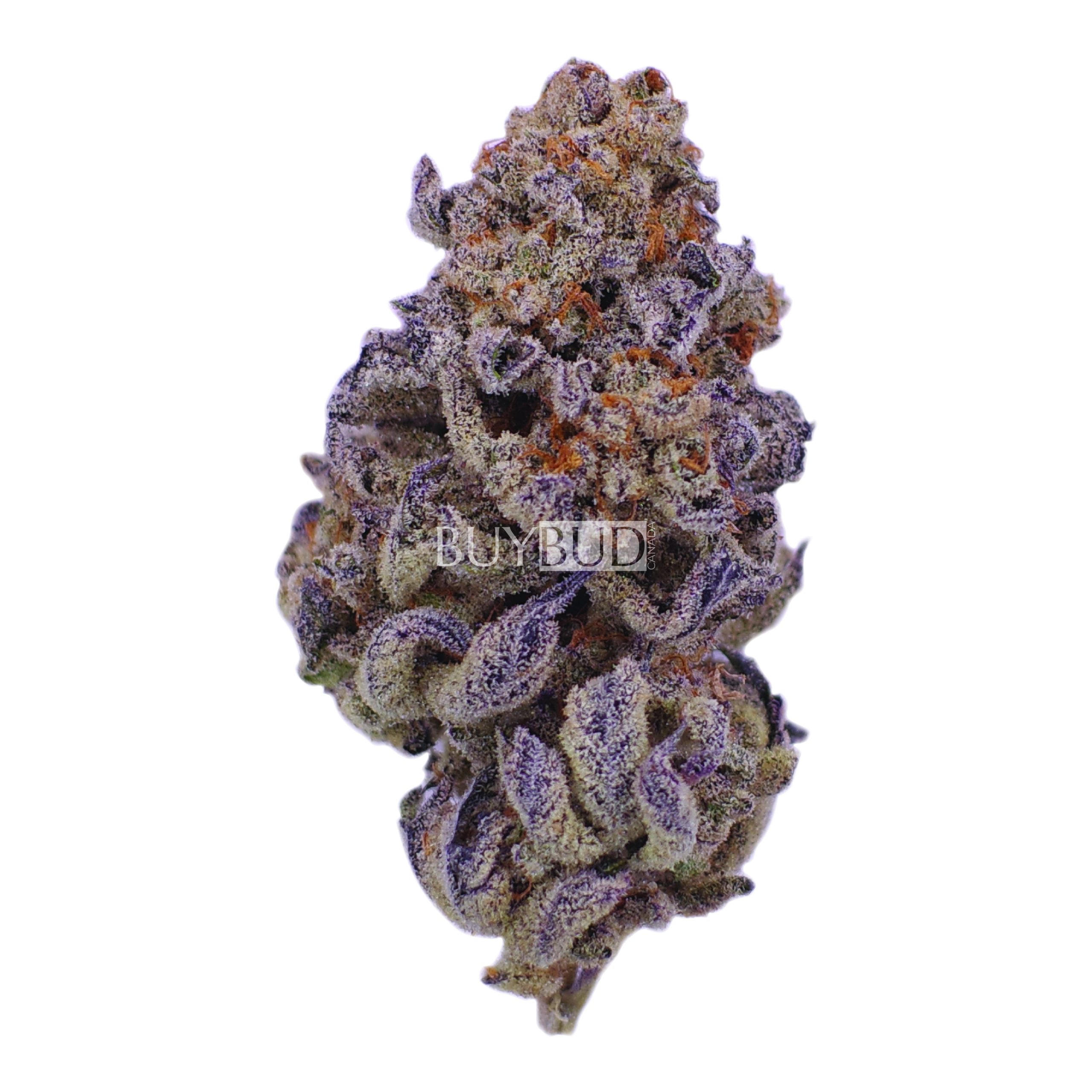 god's green crack cannabis