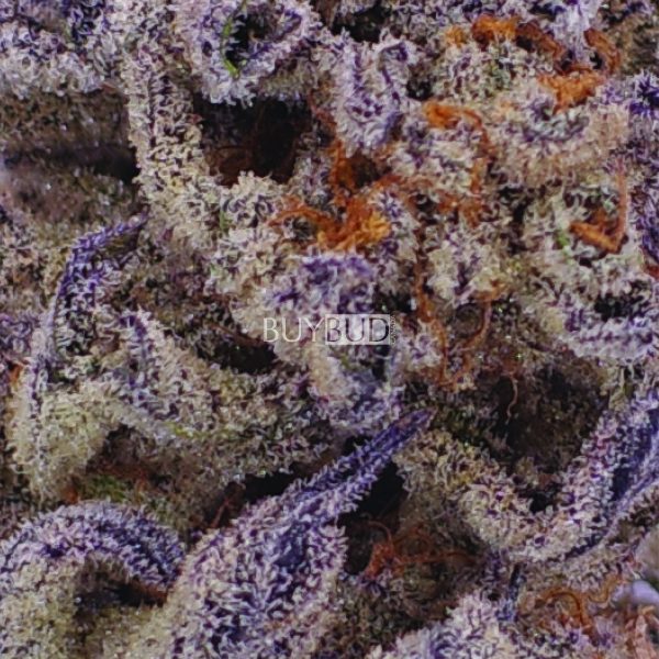 god's green crack cannabis