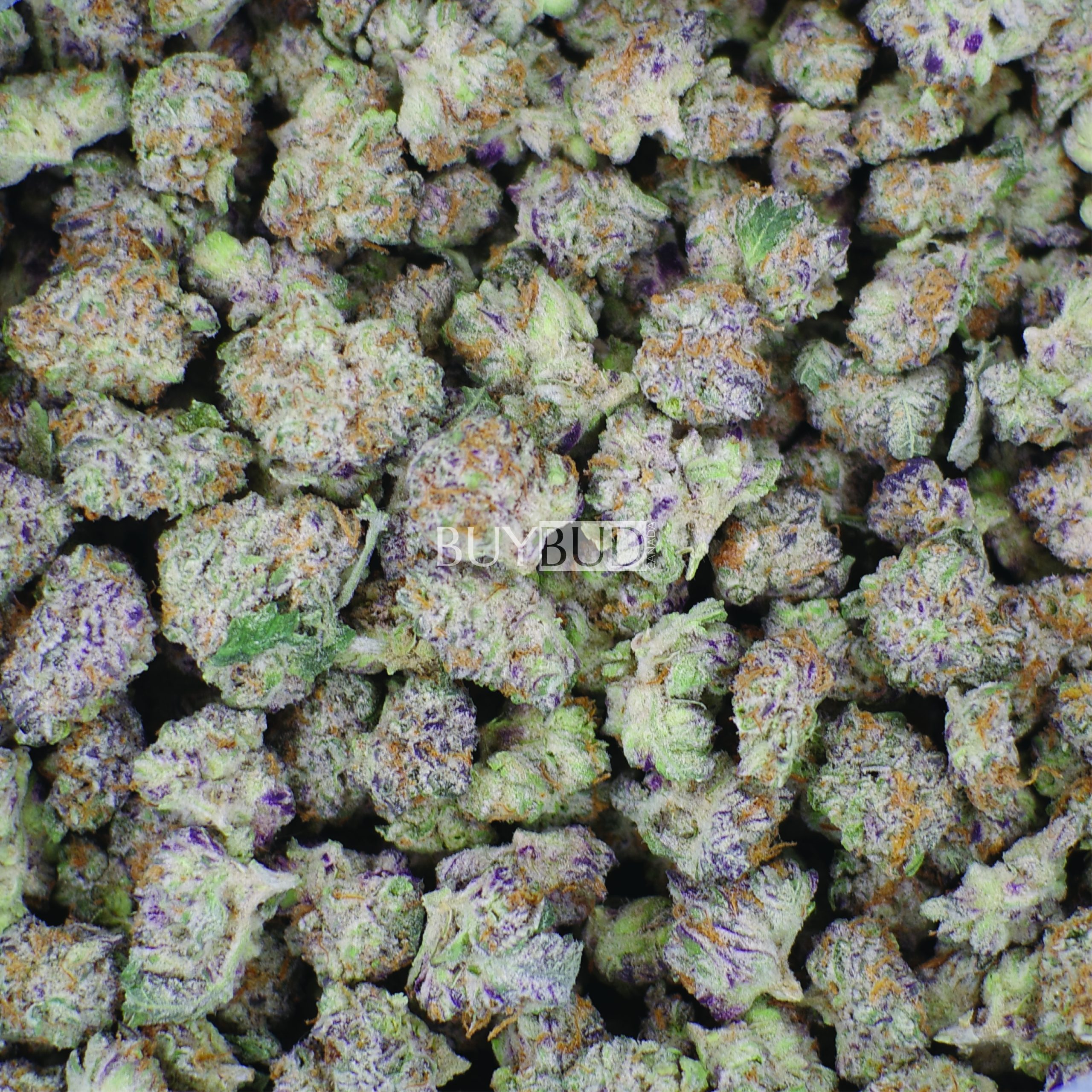 goudaberry popcorn cannabis