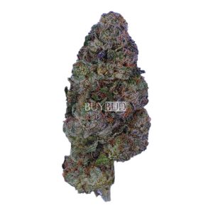 kush mints cannabis