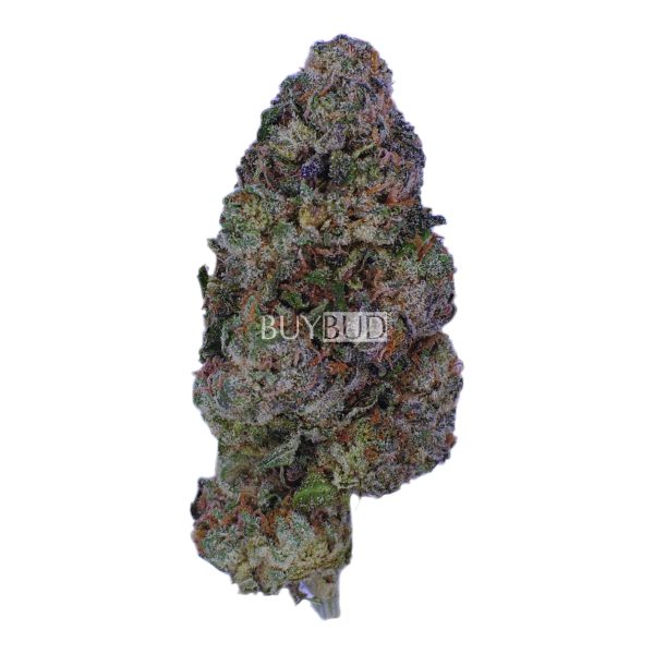 kush mints cannabis