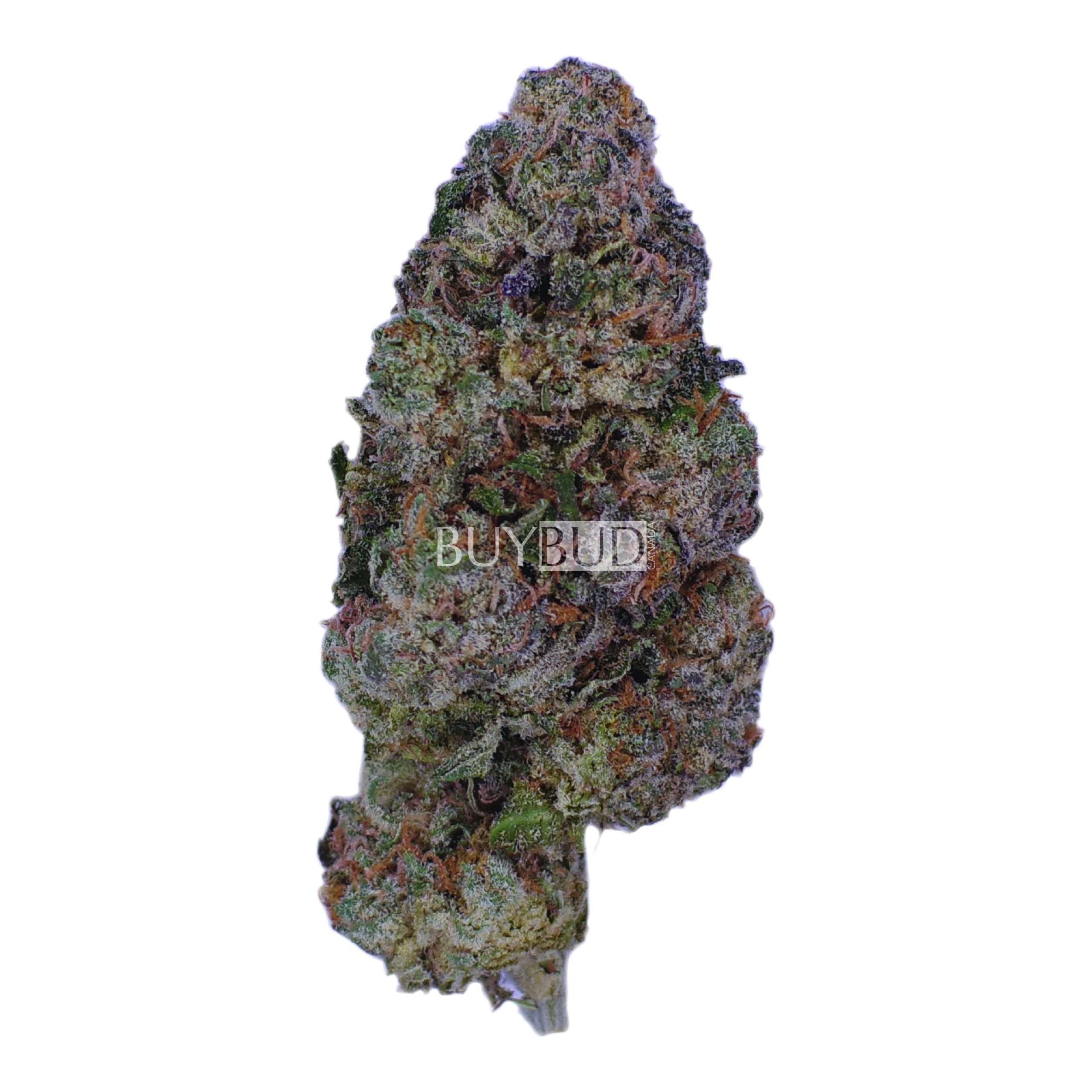 kush mints cannabis