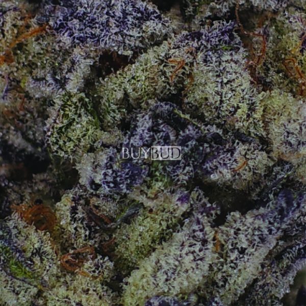 mike tyson cannabis