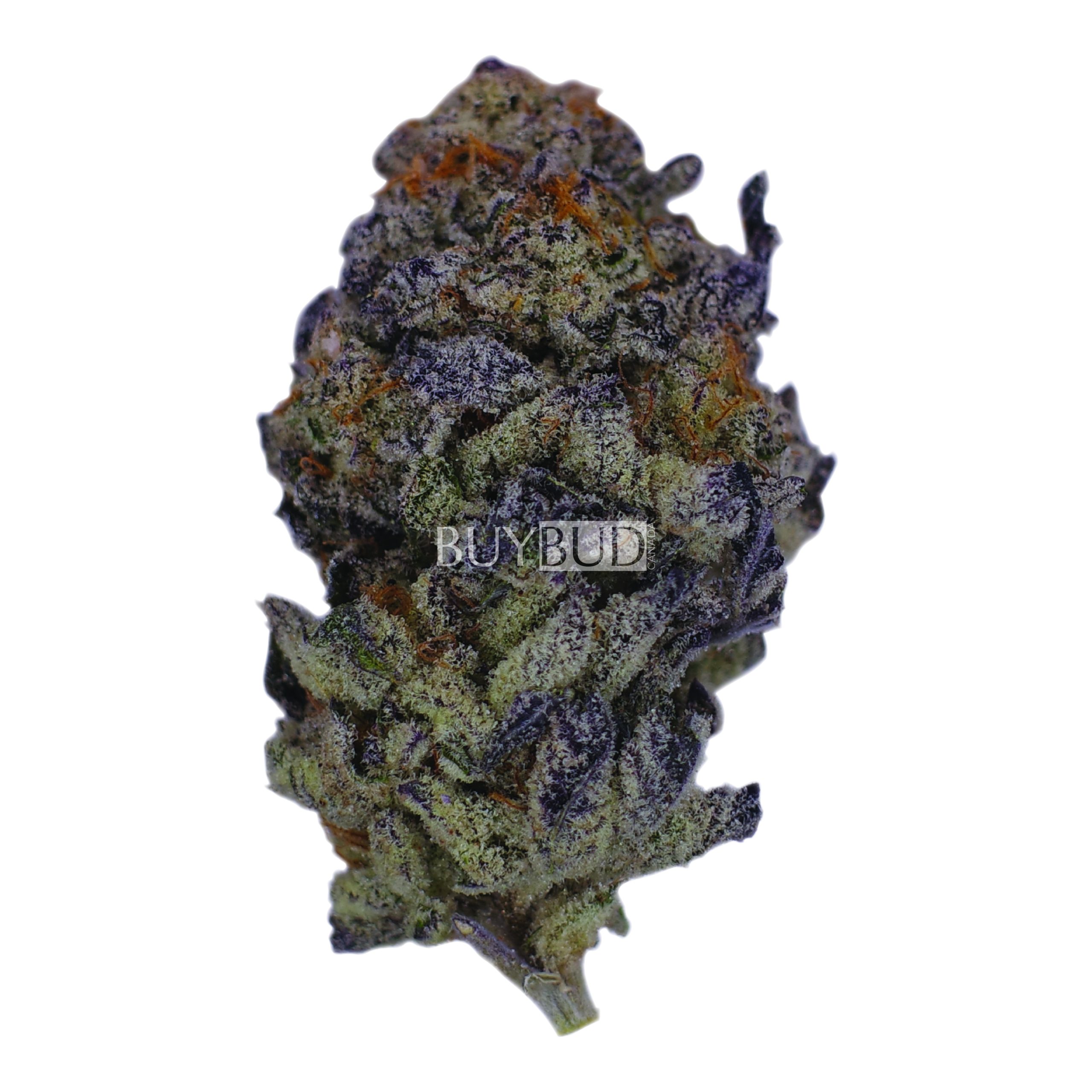 mike tyson cannabis