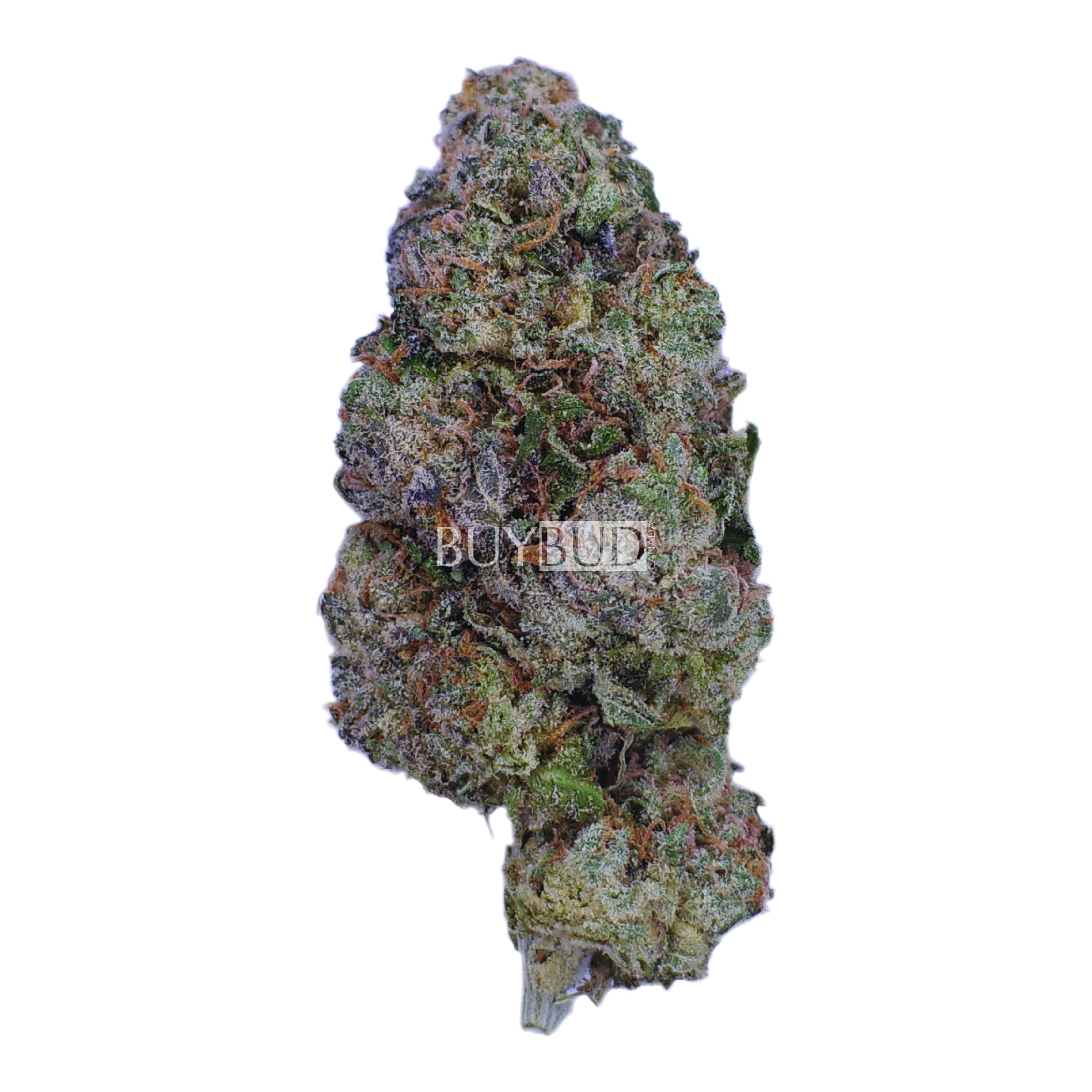 tropical smoothie cannabis