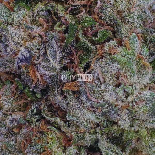 tropical smoothie cannabis