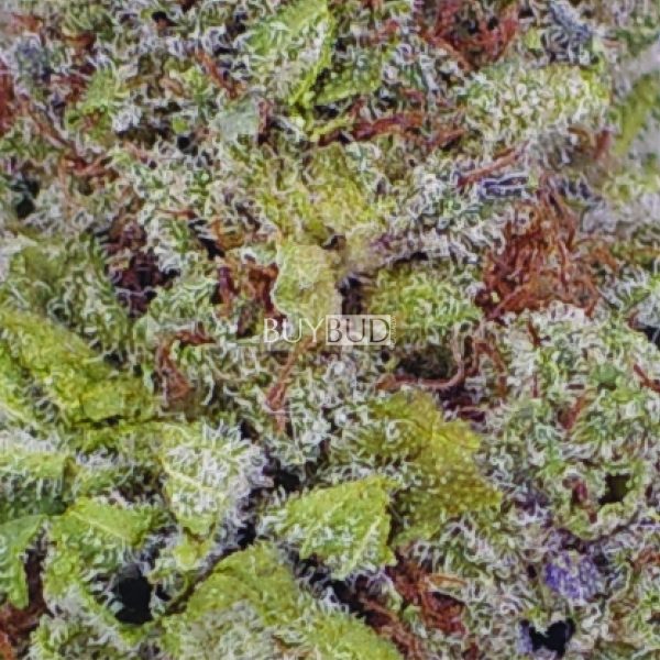 duke nukem cannabis