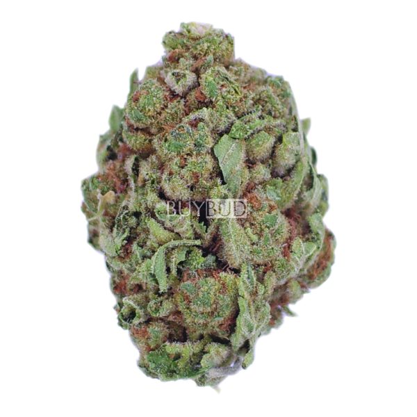 pink death cannabis