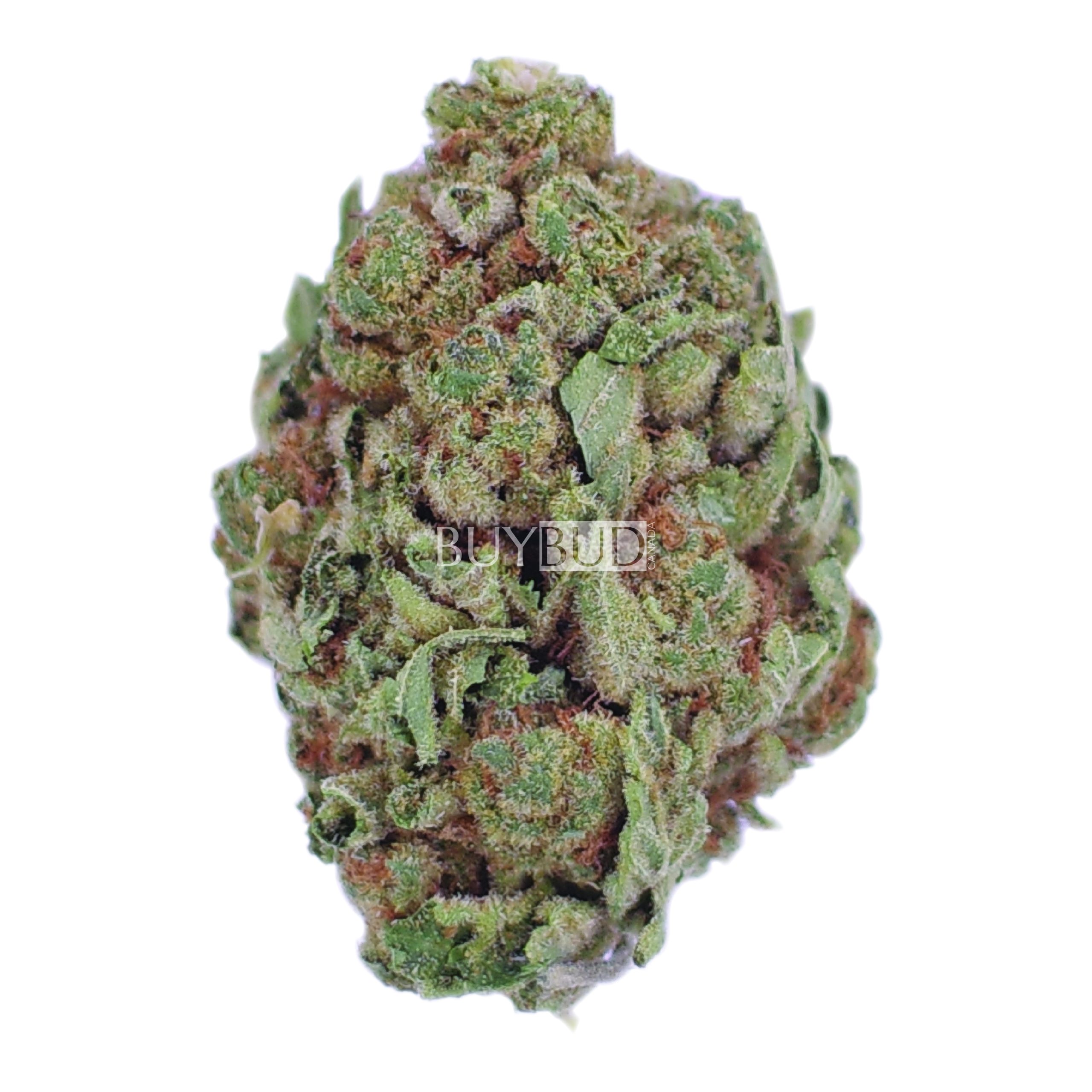 pink death cannabis