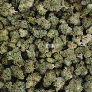 white rhino popcorn cannabis