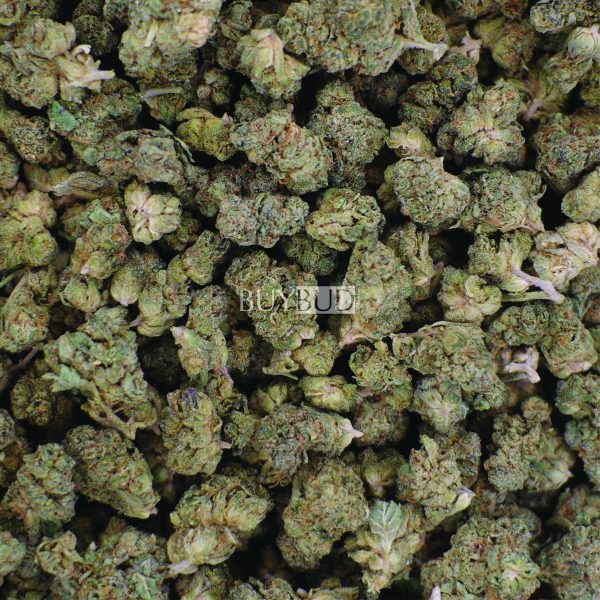 white rhino popcorn cannabis
