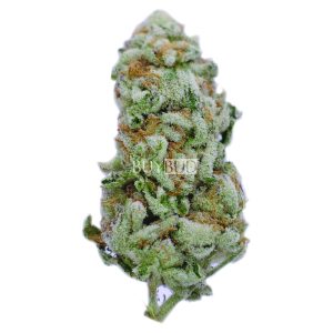 Alien OG cannabis