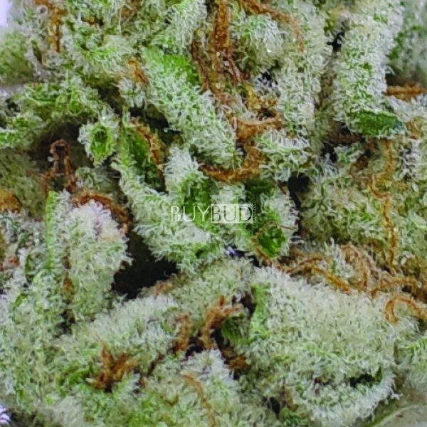 Alien OG cannabis