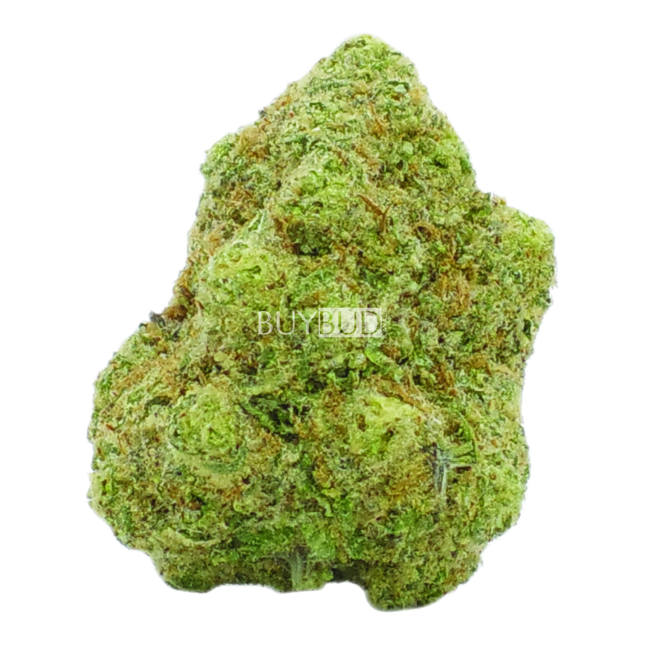 gmac cannabis