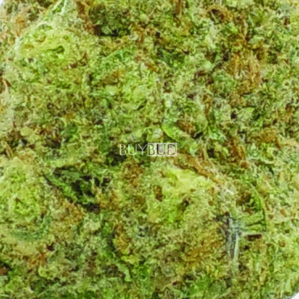 gmac cannabis