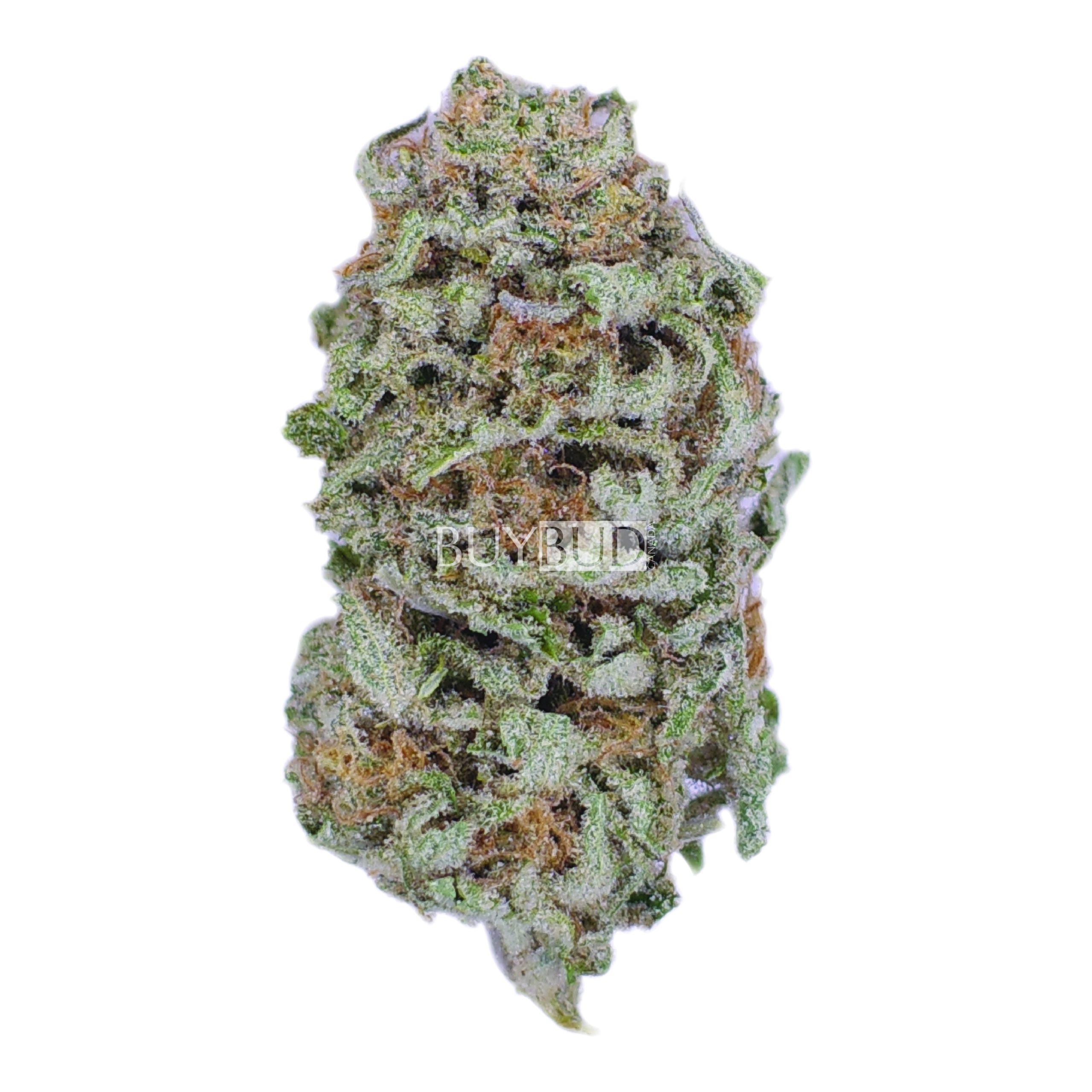 tuna kush cannabis
