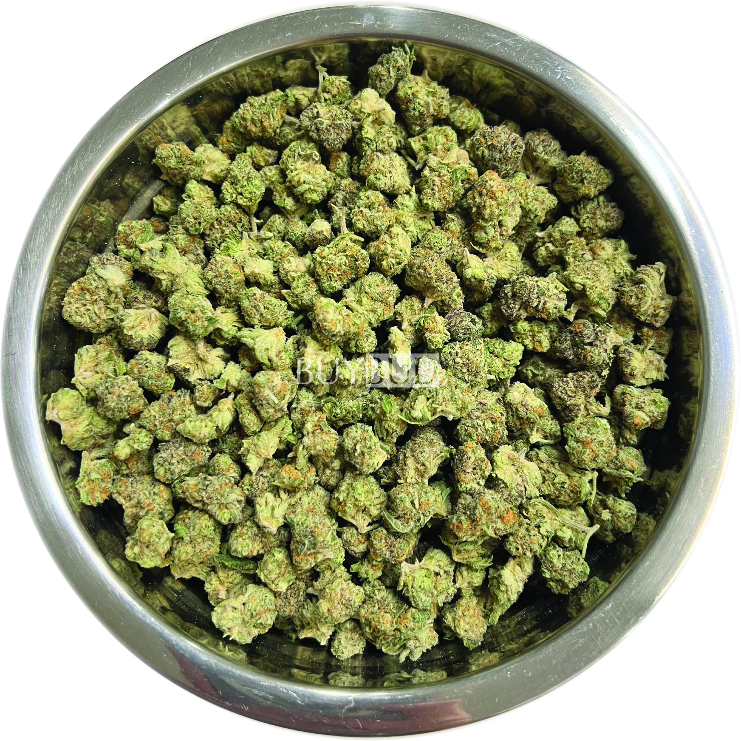 afghan cannabis