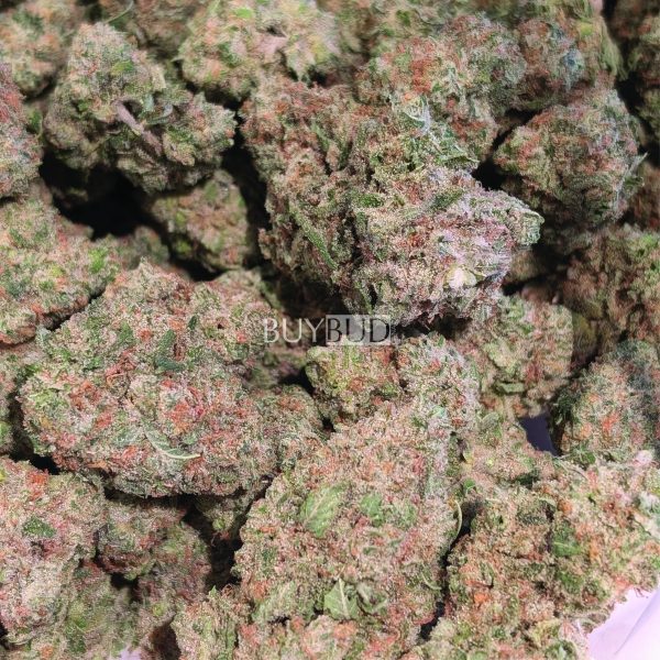 blue cheese cannabis