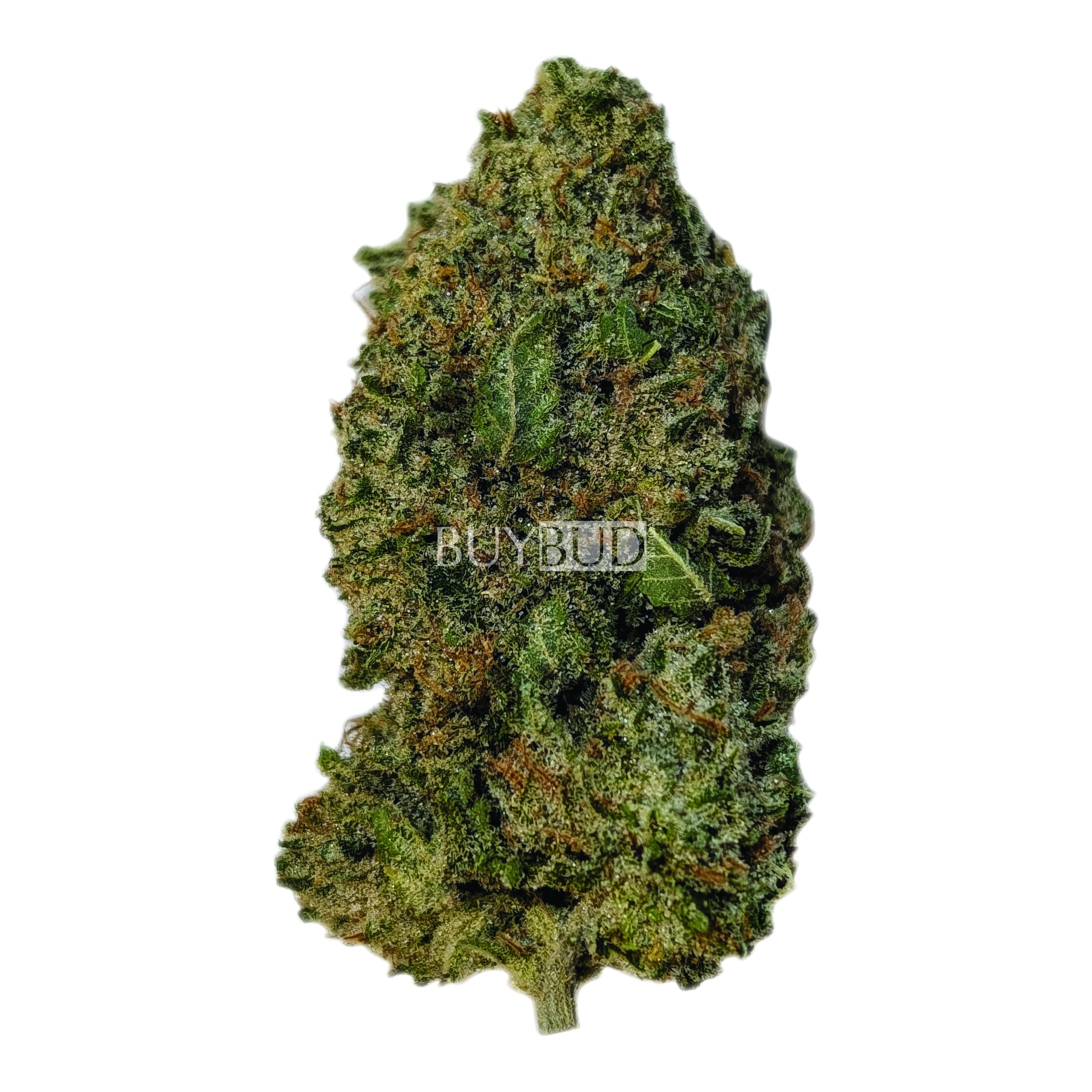 blue cheese cannabis