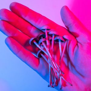 Magic Mushrooms